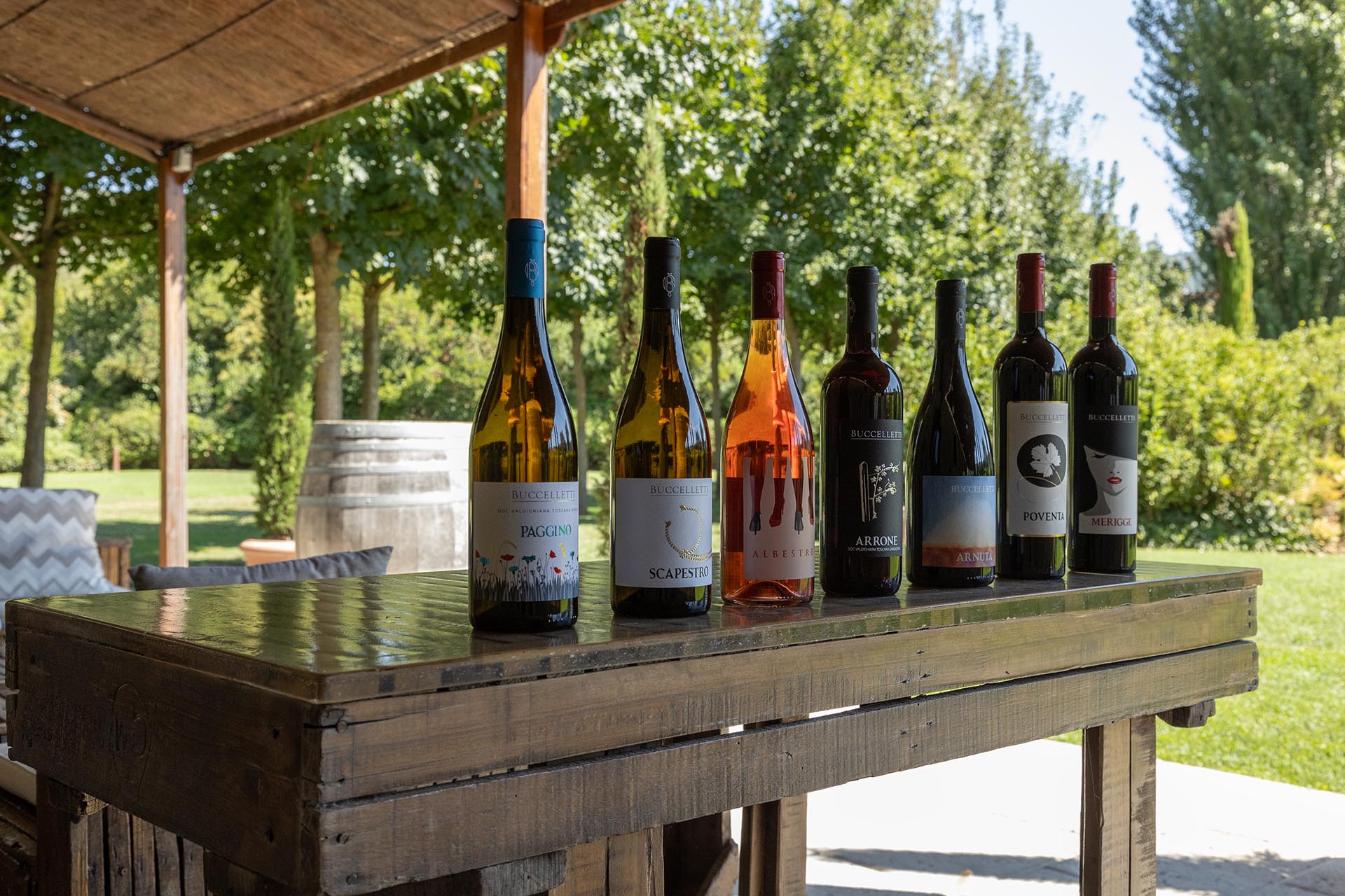 Degustazioni vini toscani in cantina a Castiglion Fiorentino, Arezzo